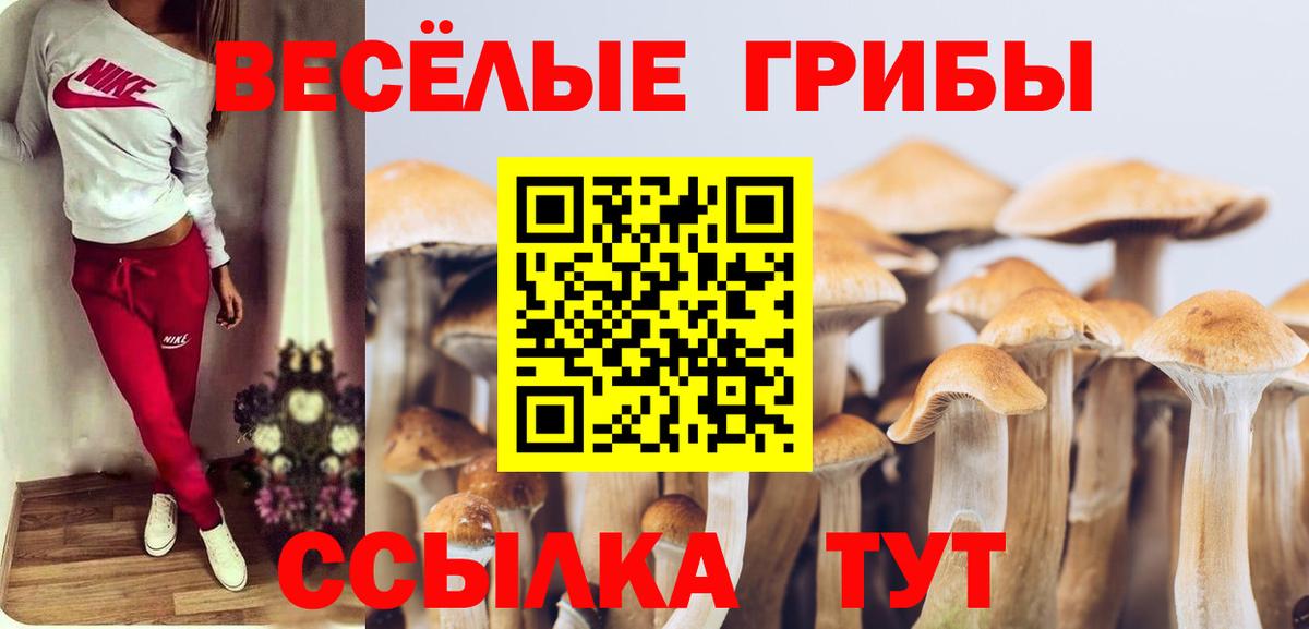 Псилоцибиновые грибы Magic Shrooms  Вход с VPN  Псилоцибиновые грибы GOLDEN TEACHER  Заводоуковск 